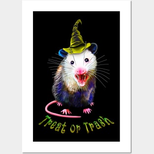 Treat or trash Halloween Possum Posters and Art